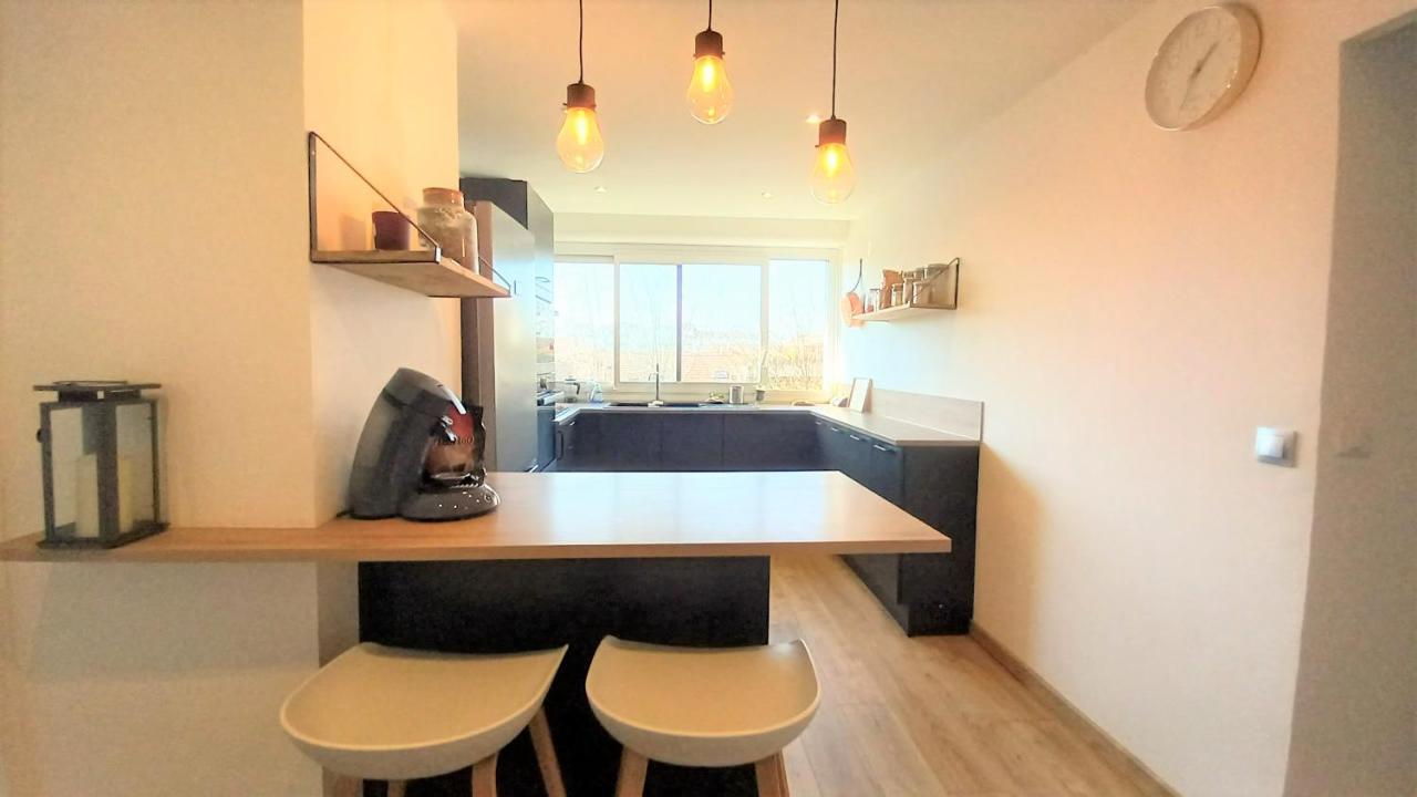Magnifique Cocon - Metro A Republique - 2 Belles Chambres Avec Dressings - Wifi Gratuit - Netflix - Au Calme Absolu - Lumineux - Jardin Arbore Partage Dans La Residence Villeurbanne Extérieur photo